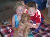 ASD Kennel Families
