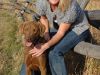 ASD Kennel Families